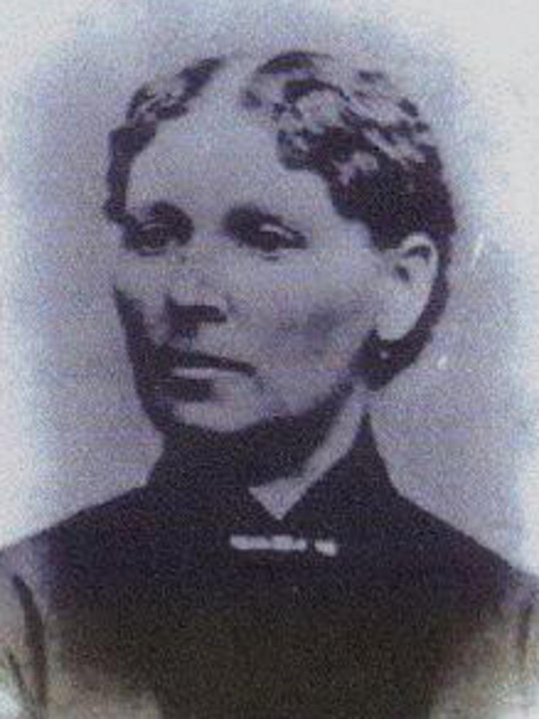 Christiana Rhodes Dollinger (1836 - 1925) Profile